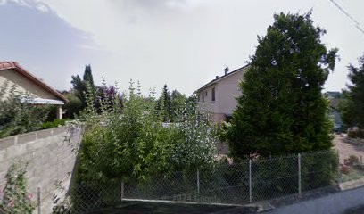 Mortier Laurent, Médecin Généraliste à Cuzieu