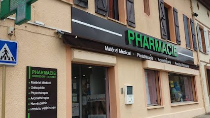 Cabinet médical de téléconsultation Tessan, Médecin Généraliste à Montesquieu-Volvestre