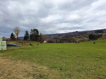 Bordas Jack, Médecin Généraliste à Polminhac
