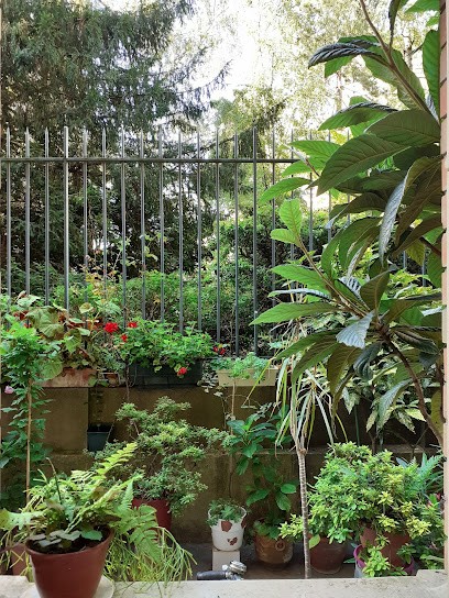 Espace Soins Et Ressources, Médecin Généraliste à Paris 15