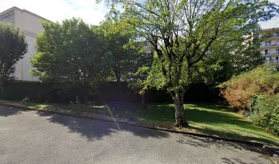 Dr Christelle Delcourt-Debruille, Médecin Généraliste à Seyssinet-Pariset