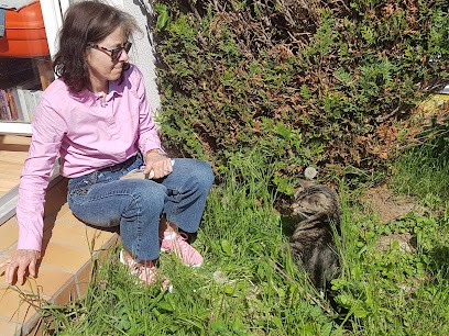 Résidence DE AU VILLE 2000, Centre Médical à Villers-sur-Mer