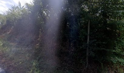 Landois Philippe, Médecin Généraliste à Vertou
