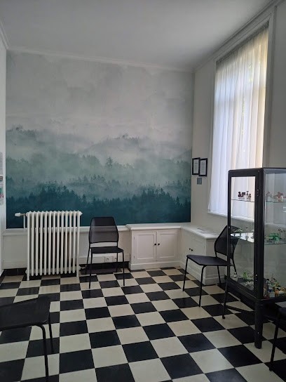 Docteur Mathilde BELSOT, Médecin Généraliste à Haubourdin