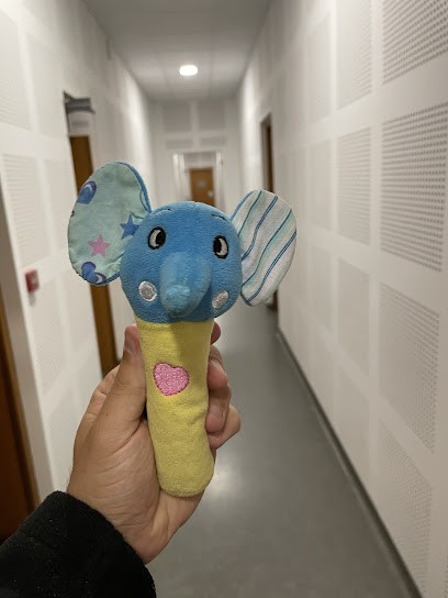 Roland Pigott, Médecin Généraliste à Propriano