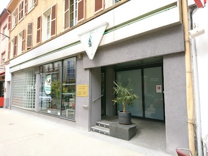 CYPATH Sarreguemines, Médecin Généraliste à Sarreguemines
