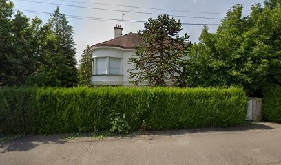 Camelot Roland, Médecin Généraliste à Chaumont