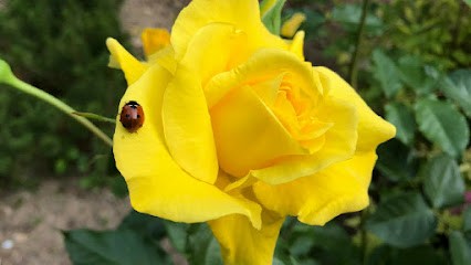 CABINET Masso- Kinésithérapie, Médecin Généraliste à Lyon 03