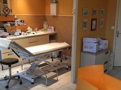 Dr Anne Faidherbe, Médecin Généraliste à Montreuil