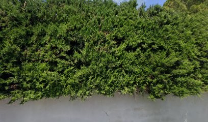 Rabault Maurice, Médecin Généraliste à Caumont-sur-Durance