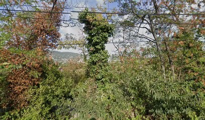 Scm Drs Jansen Poet Chevreaud Et Mathi, Médecin Généraliste à Draguignan