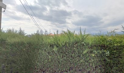 Agnès Caron Sophrologue, Médecin Généraliste à Saint-Paul-de-Vence