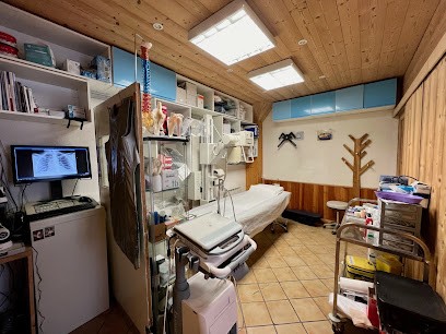 Centre médical Mountains De L'arc, Centre Médical à Bourg-Saint-Maurice