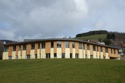 Msp De Fréland, Médecin Généraliste à Fréland