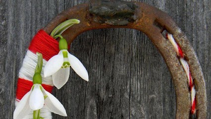 Stoïtchkov Ivo, Médecin Généraliste à Nice