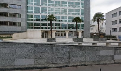 Association Addictions France(CSAPA) , ANPAA, Centre Médical à Lyon 02