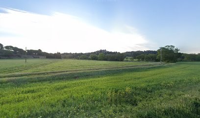 Dr. Montespan Henri, Médecin Généraliste à Conques-sur-Orbiel