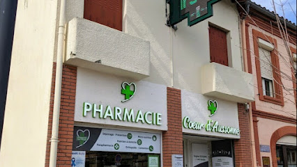 Cabine Téléconsultation Médecin Tessan, Médecin Généraliste à Aussonne