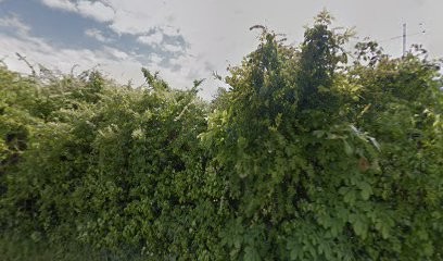 Capes Jean-Marie, Médecin Généraliste à Captieux