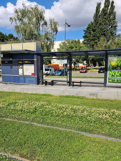 CANCIU Anca, Médecin Généraliste à Mulhouse