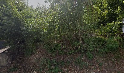 Gontier Luchini Christelle, Médecin Généraliste à Faulx