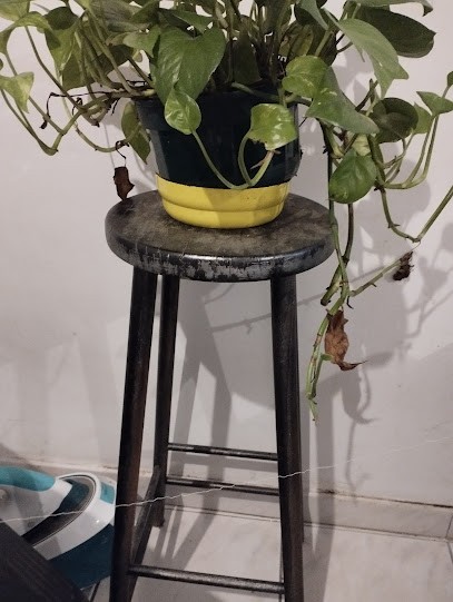 Roche Pierre Hugues, Médecin Généraliste à Marseille 15