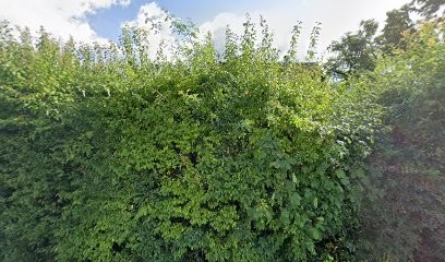 Waeckel Martin, Médecin Généraliste à Saint-Amarin