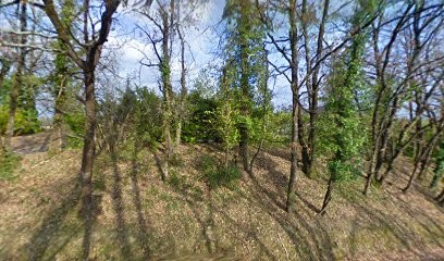 Roquebert Jean-Pierre, Médecin Généraliste à Roumagne