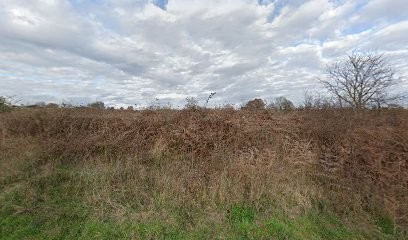 Guérisseur Magnétiseur Delphine, Centre Médical à Peyrissas