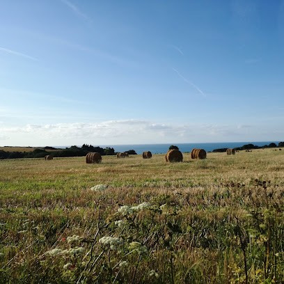 Choquet Vincent, Médecin Généraliste à Caen