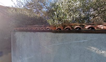 Haddad Levy Claudine, Médecin Généraliste à Marseille 07