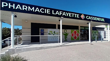 Cabine Téléconsultation Médecin Tessan, Médecin Généraliste à Casseneuil