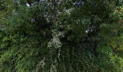 Ass Developp Insert Acc Pers Handicap, Centre Médical à Carignan-de-Bordeaux