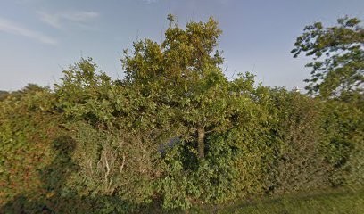 Aristote Scm, Médecin Généraliste à Friaucourt