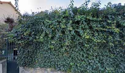 Fingerhut Patrice, Médecin Généraliste à Argenteuil