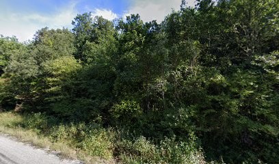 Duvelius Christiane, Médecin Généraliste à Saint-André-de-Roquepertuis