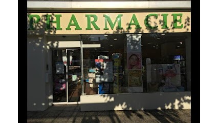 Cabinet médical de téléconsultation Tessan, Médecin Généraliste à Bessé-sur-Braye