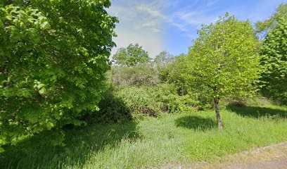Chauvot Laurent, Médecin Généraliste à Garchizy