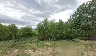 Mollen Jean Luc, Médecin Généraliste à Saint-Bonnet-le-Courreau