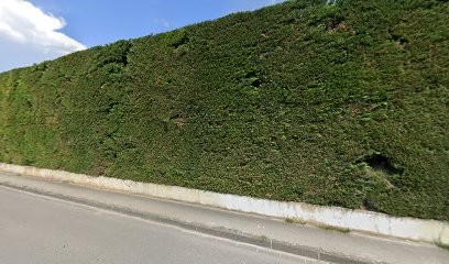 Vincent Thierry, Médecin Généraliste à Loriol-du-Comtat