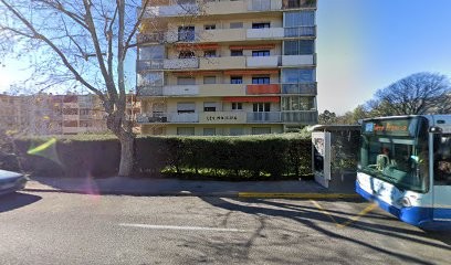 Lenoir Marc, Médecin Généraliste à Toulon