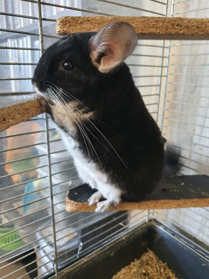 Docteur Gwenaelle BIENFAIT, Médecin Généraliste à Sartrouville