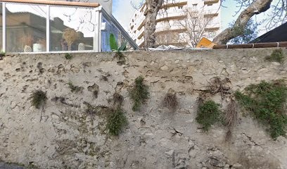 Sudre Isabelle, Médecin Généraliste à Marseille 08