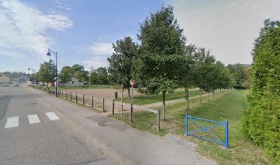 Cabinet Médical Des Drs LOUYOT Et GEORGES, Médecin Généraliste à Saulcy-sur-Meurthe