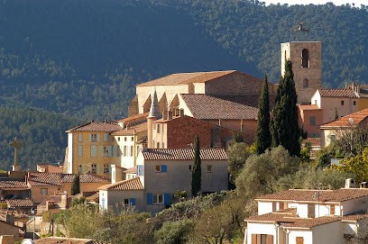 Dr Thomas Philip, Médecin Généraliste à Hyères