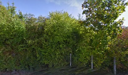 Médecin Nkili Aglaee, Médecin Généraliste à Arcis-sur-Aube