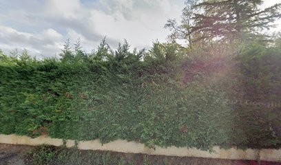 Bonnaure Dominique, Médecin Généraliste à Marcilloles