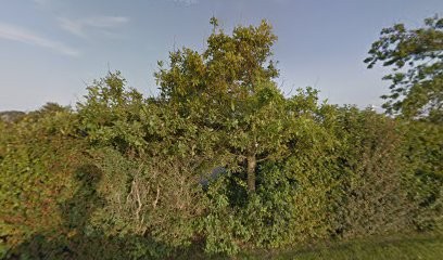 Barraud De Lagerie Jean-Daniel, Médecin Généraliste à Friaucourt