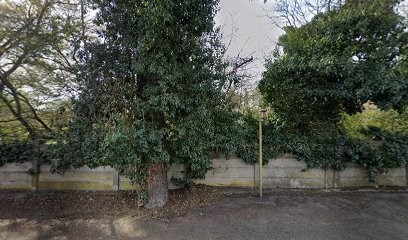 Koch Philippe, Médecin Généraliste à Cernay