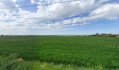 Picard Bruno, Médecin Généraliste à Monts-sur-Guesnes